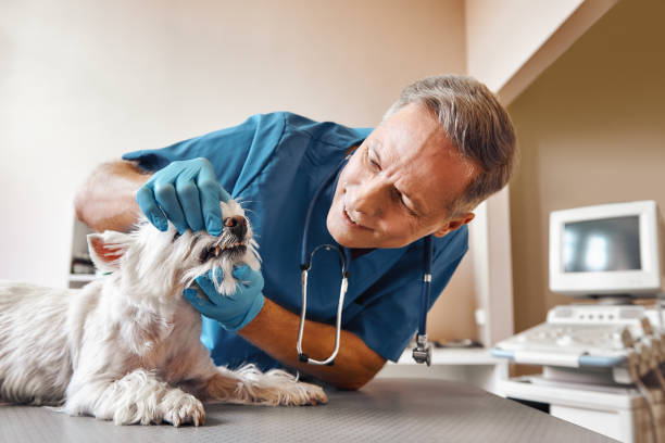 Best Emergency Broken Tooth Repair in Gregory, TX